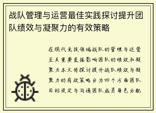 战队管理与运营最佳实践探讨提升团队绩效与凝聚力的有效策略