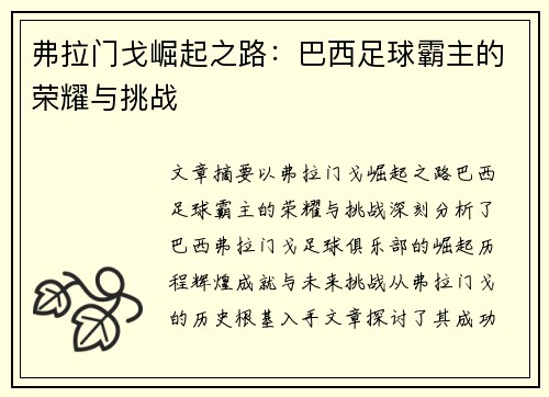 弗拉门戈崛起之路：巴西足球霸主的荣耀与挑战