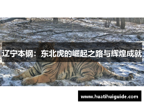 辽宁本钢：东北虎的崛起之路与辉煌成就